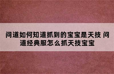 问道如何知道抓到的宝宝是天技 问道经典服怎么抓天技宝宝